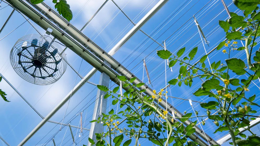 Climaflow Horizon Screening Installations Greenhouse Curtains