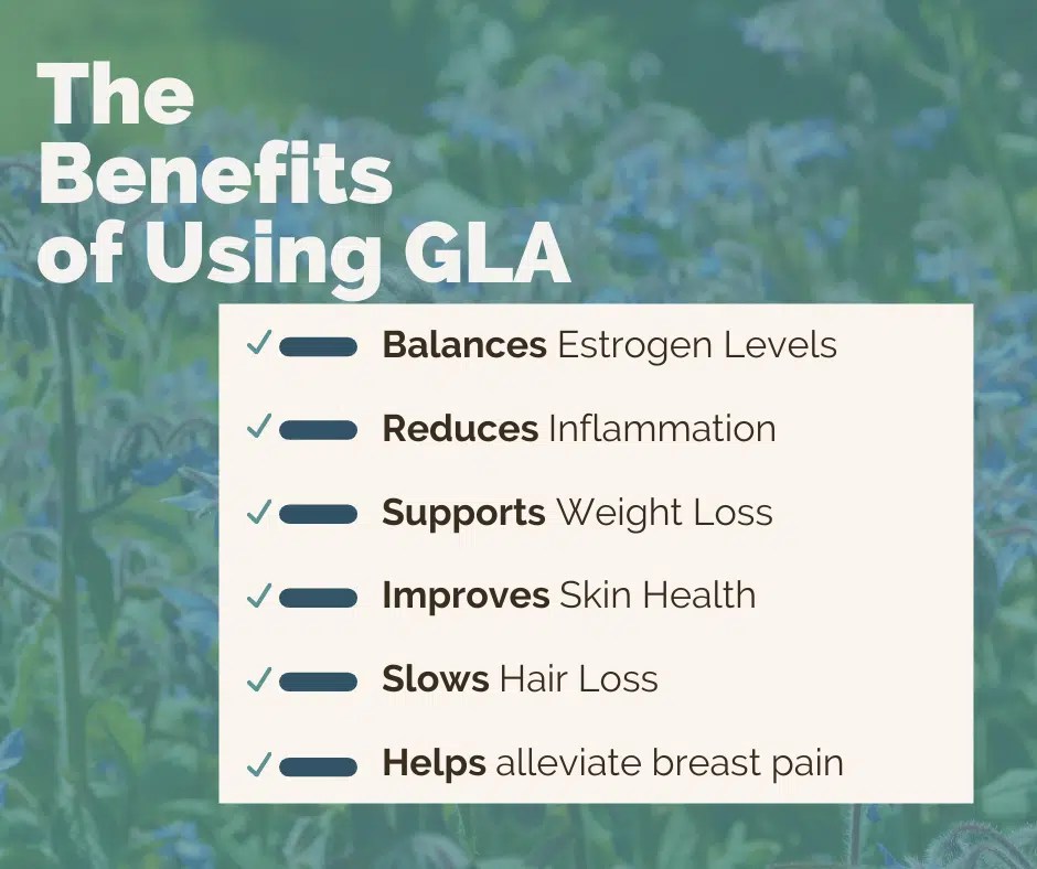 Evening Primrose vs. Borage Oil For Hormone Balance