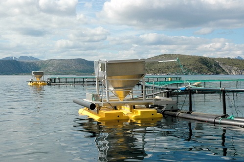 Fish Farm Feeding System - Horner Automation Group Europe