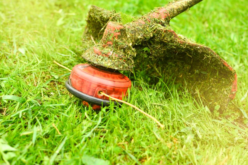 Is there really a difference between a line trimmer and a whipper