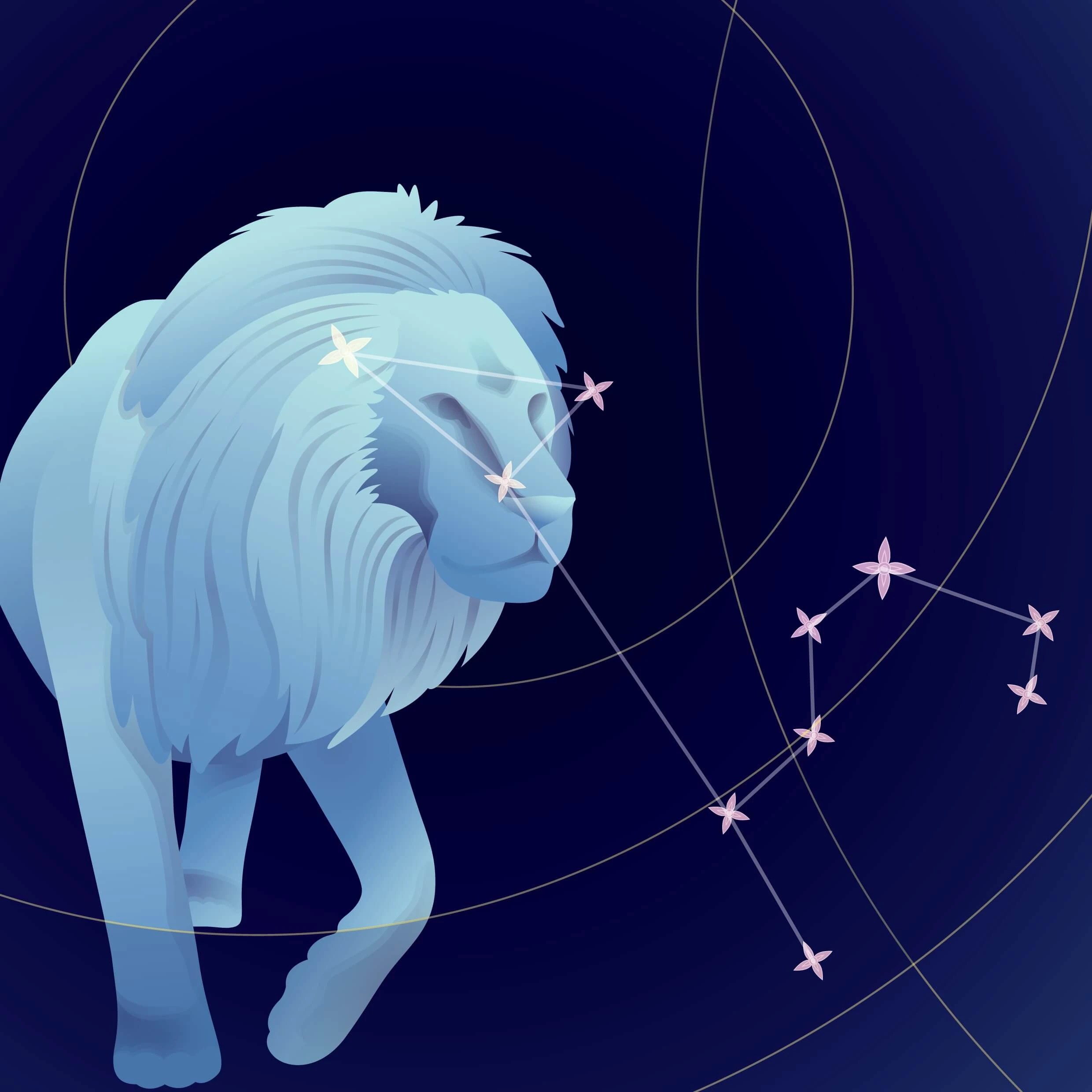 The Secrets of Leo Interesting facts about the Leo Zodiac sign(04)