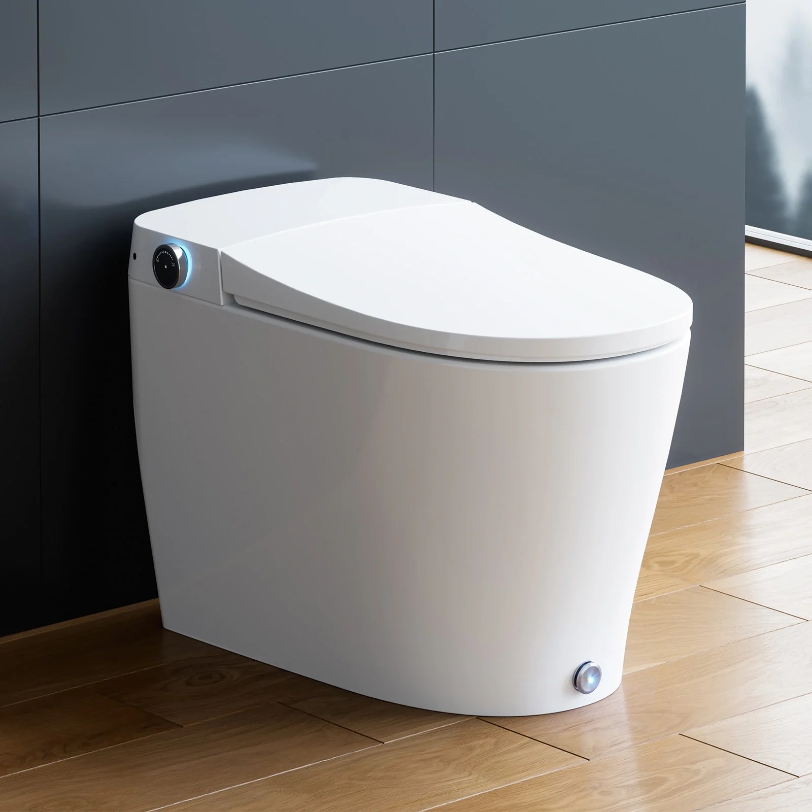 Best HOROW Smart Toilet Bidet Combo for Sale HOROW