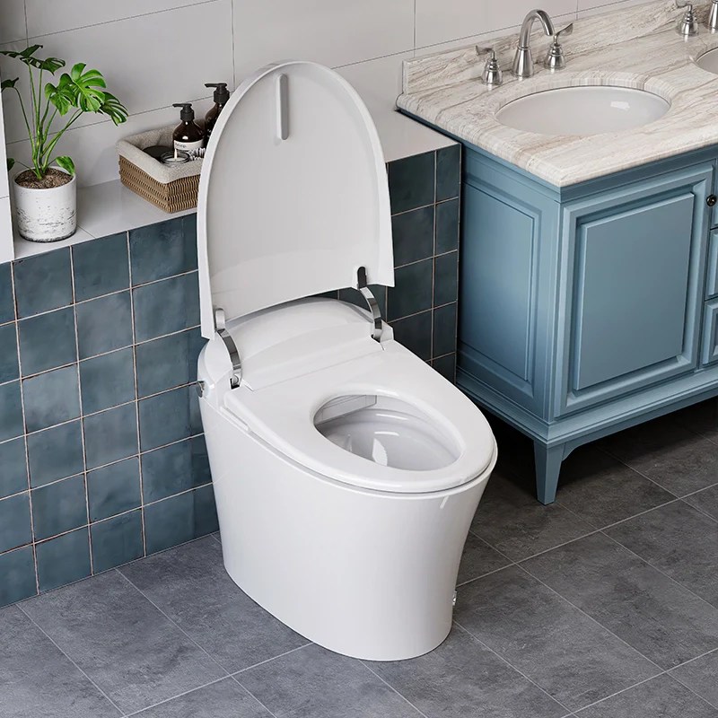 HOROW Smart Toilet With Heated Bidet Dual Flush Toilet Model T16