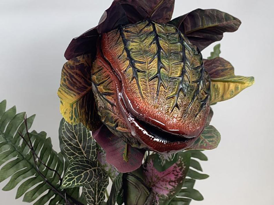 Seymour The Plant