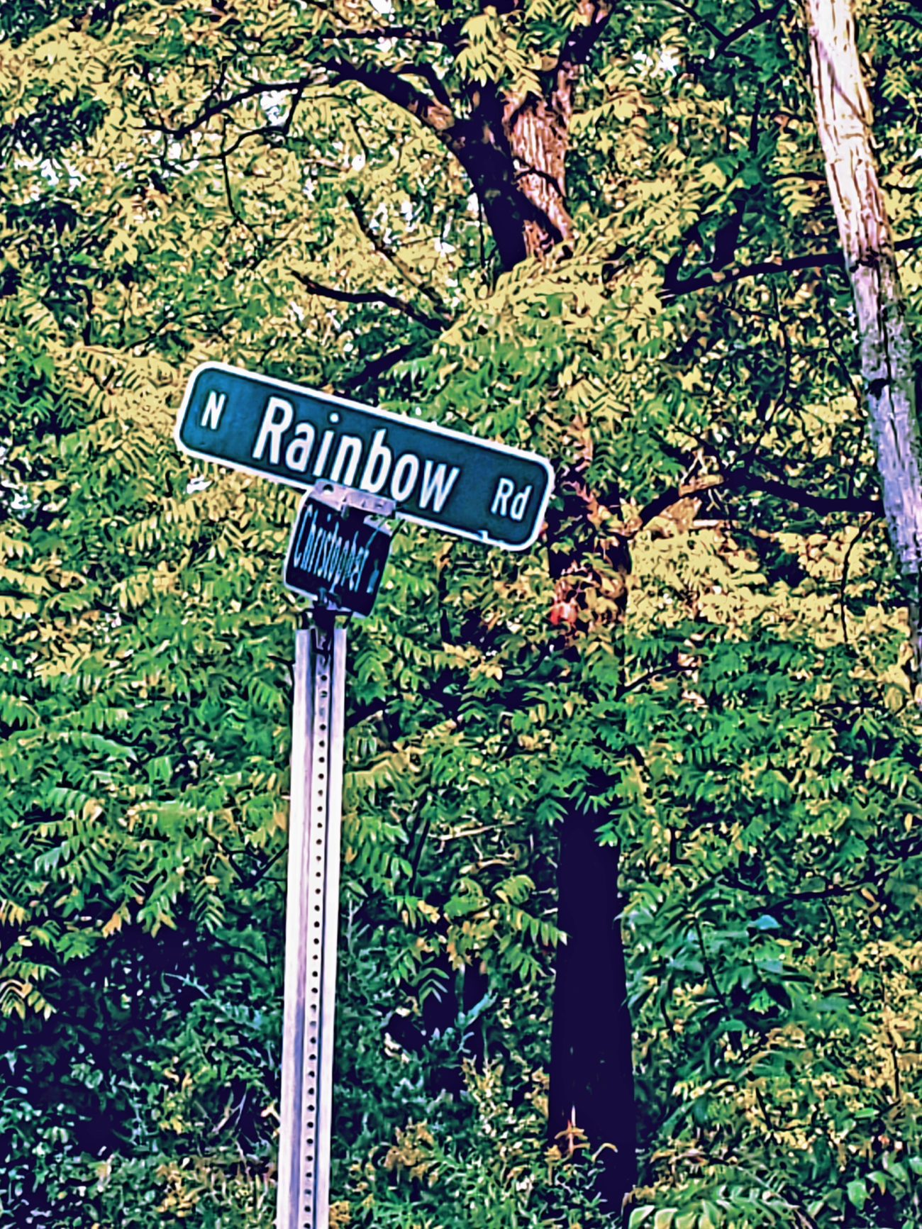 What Lurks on Cuba Road? A Firsthand Look at One of Illinois’s Haunted Highways Horror Obsessive