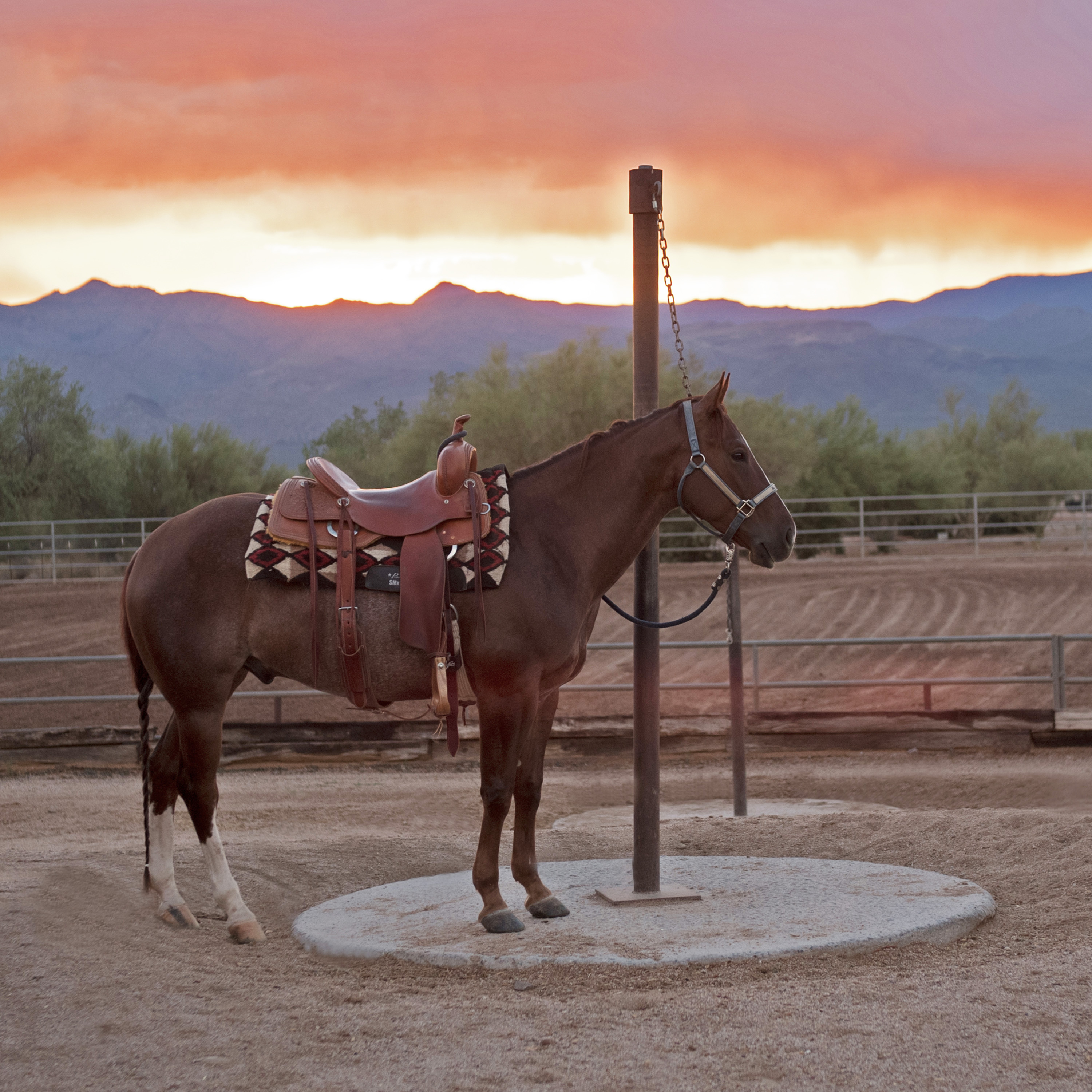 The Lost Art of Standing Tied