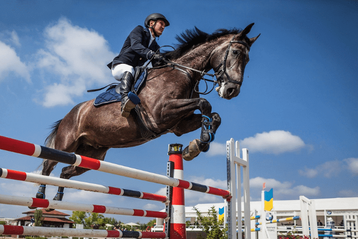 Show Jumping Archives Horse Answer