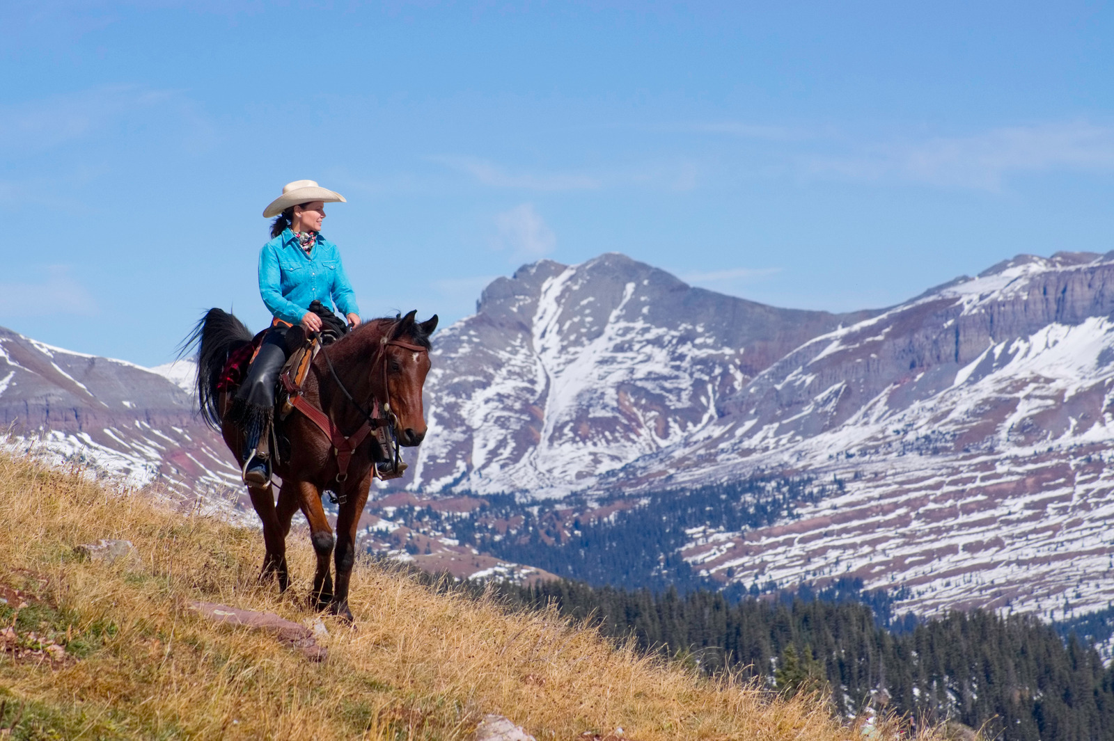 Horseback Riding in Quebec, Canada HorsebackLife Magazine