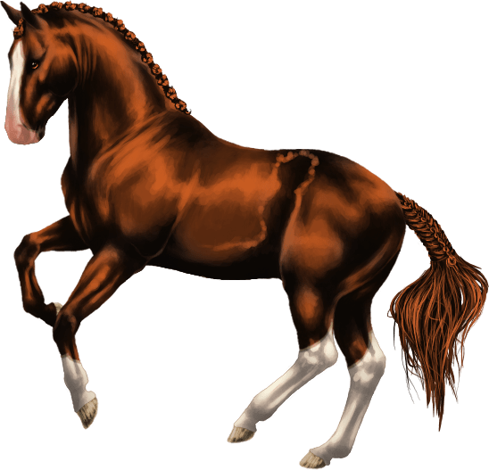 American Warmblood Horse Fable Wiki