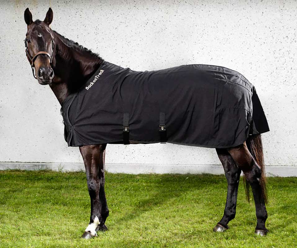 Back on Track Therapeutic Horse Mesh Blanket Sign Ur Neigh'm