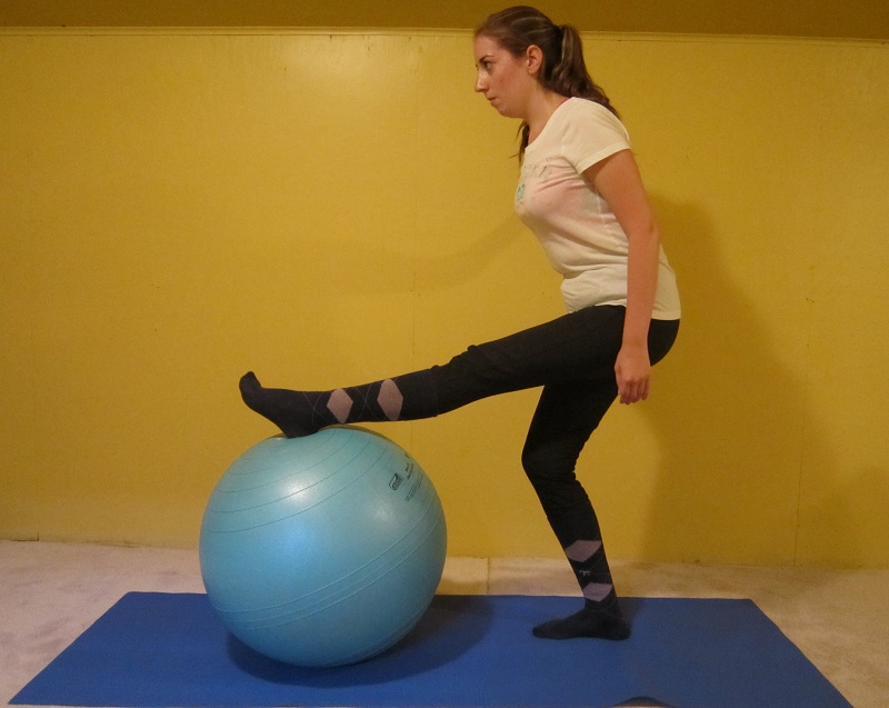 How to Master the Sitting Trot Horse Journals