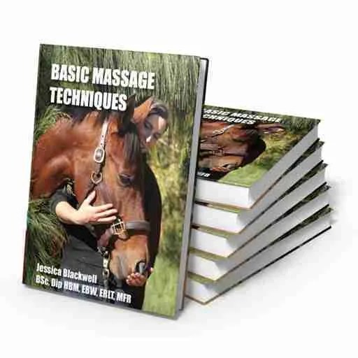 Horse Massage Techniques (New Version) Equestricare