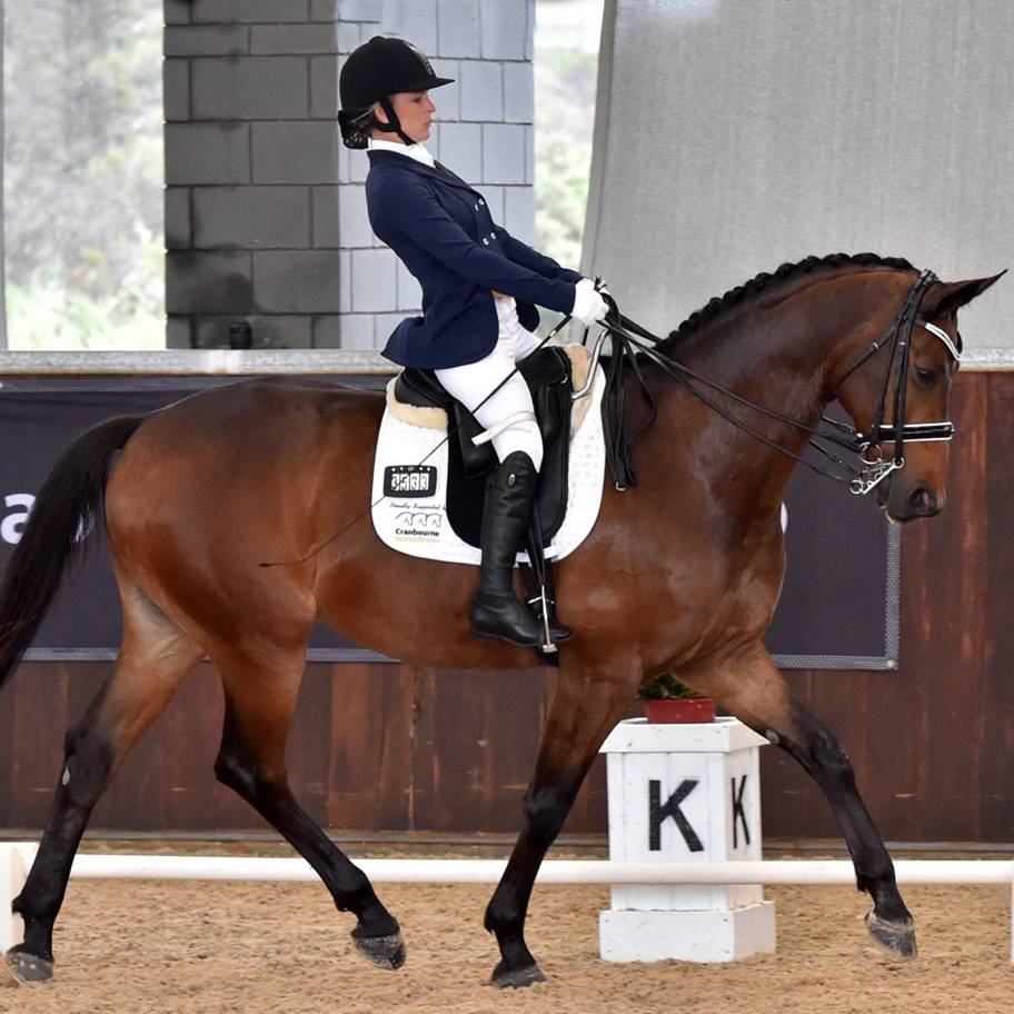 2016 Australian Paralympic Equestrian Team Equestrian Australia