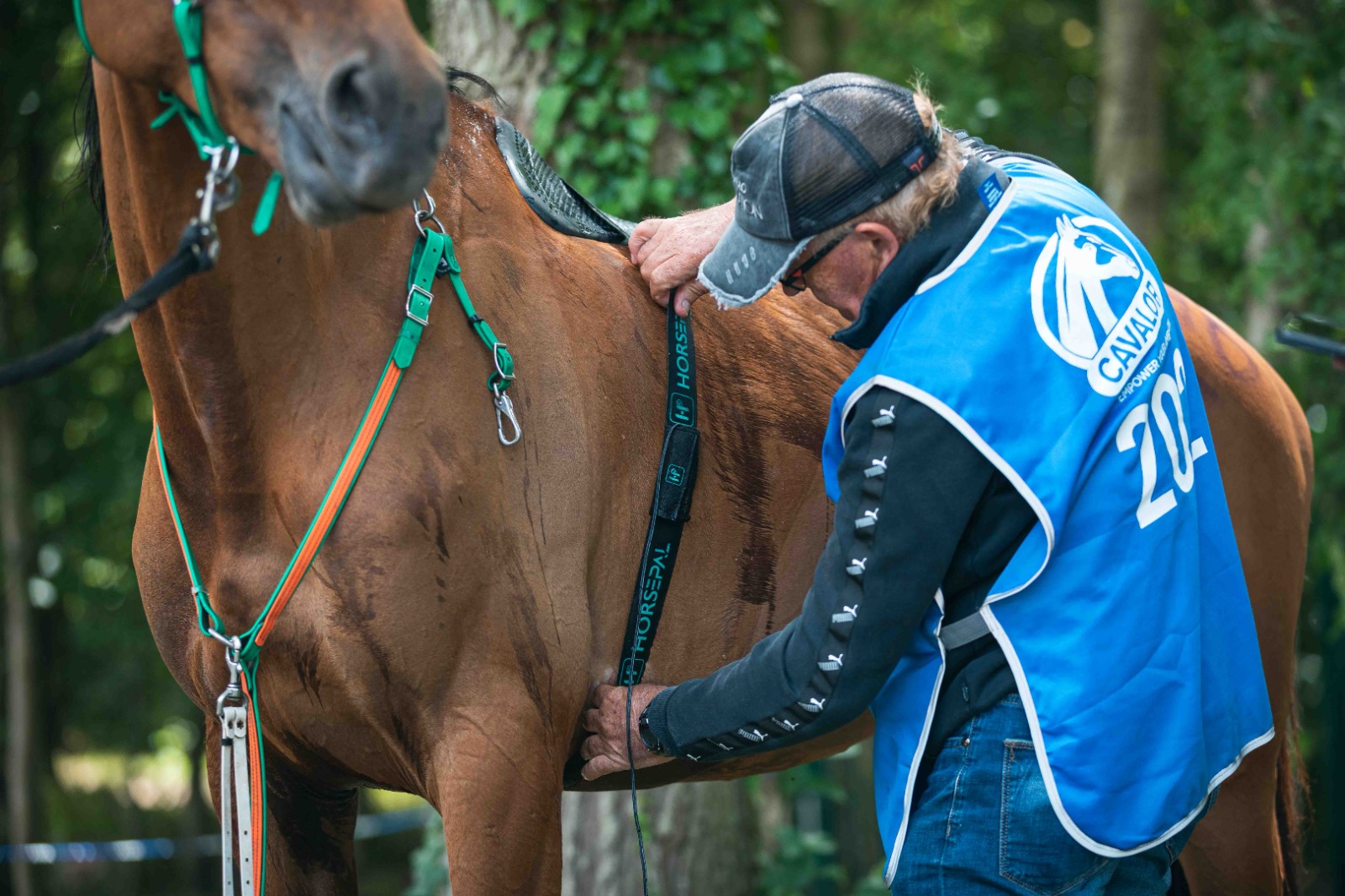 The Horse Heart Rate Monitor and its 2 launches Horsepal A new