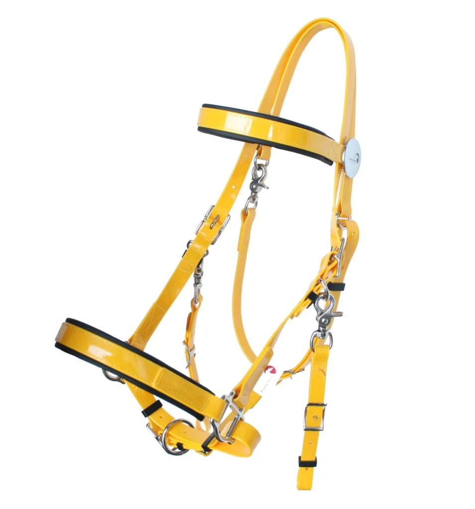 FIRST CHOICE Endurance Bridle Horse Pride