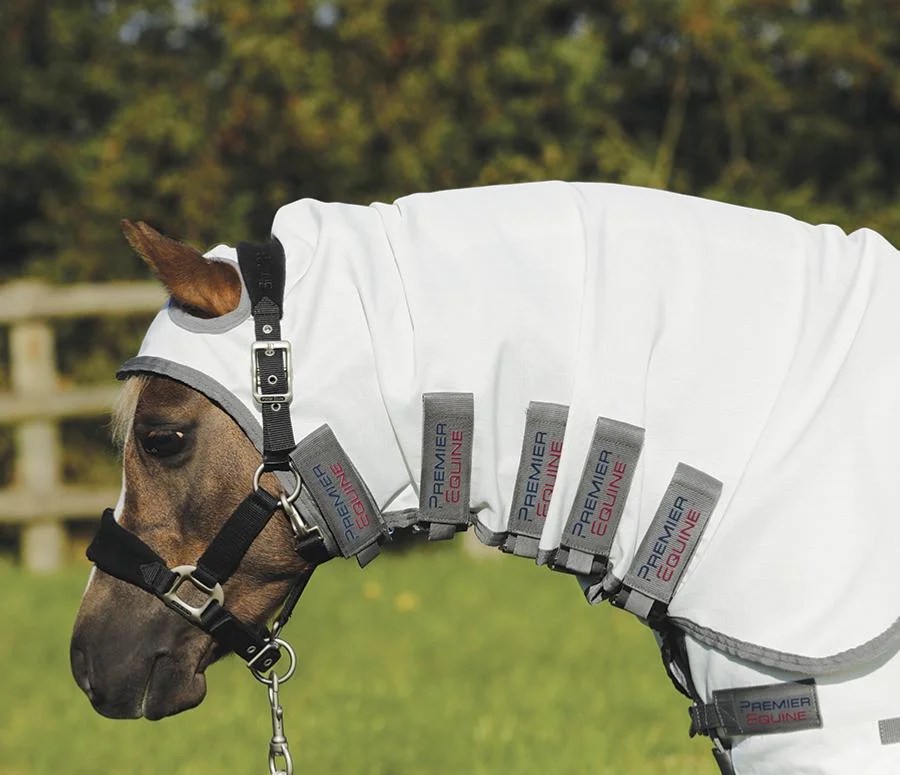 A sweet itch rug Horse Pride