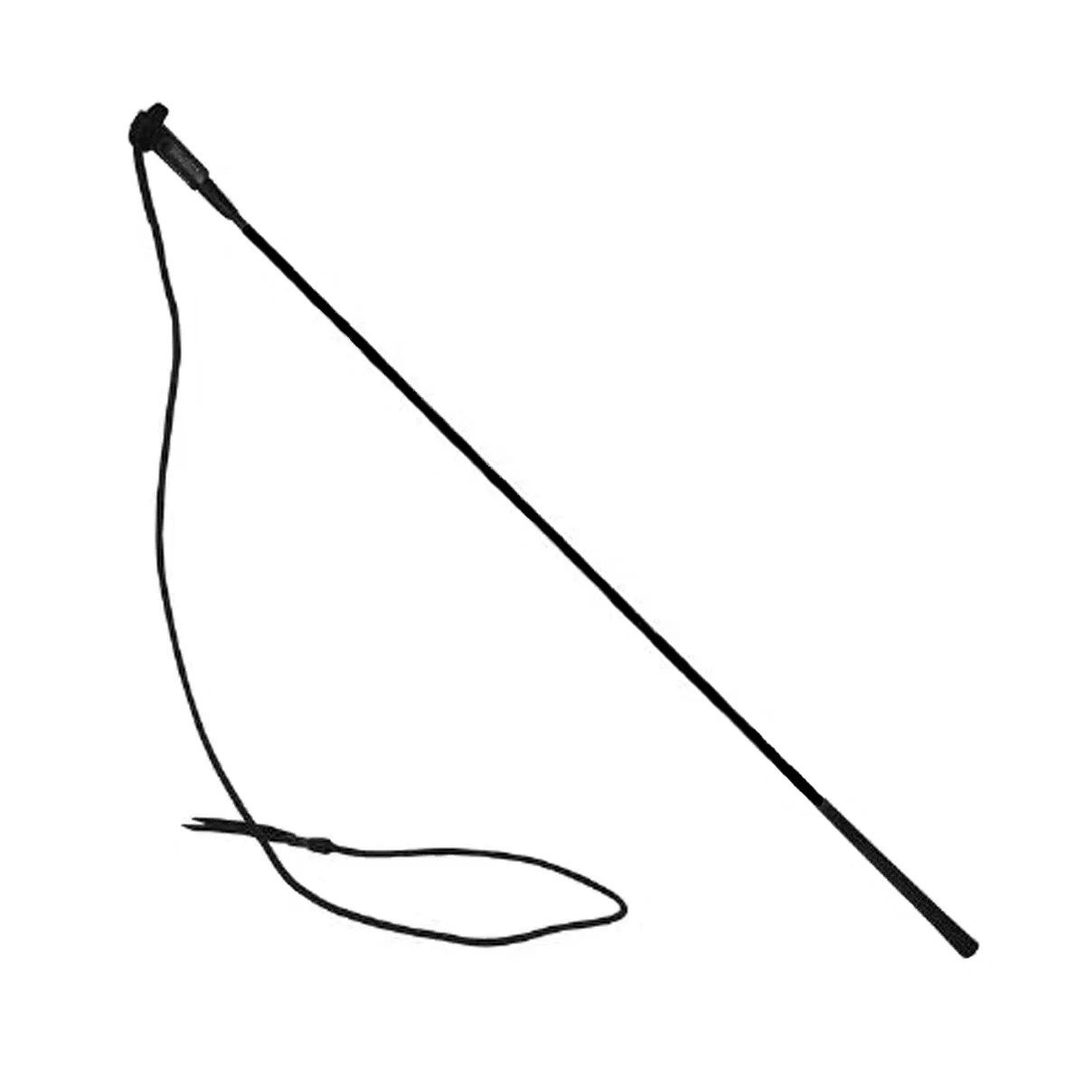 Training Lunging Whip Horse Pride