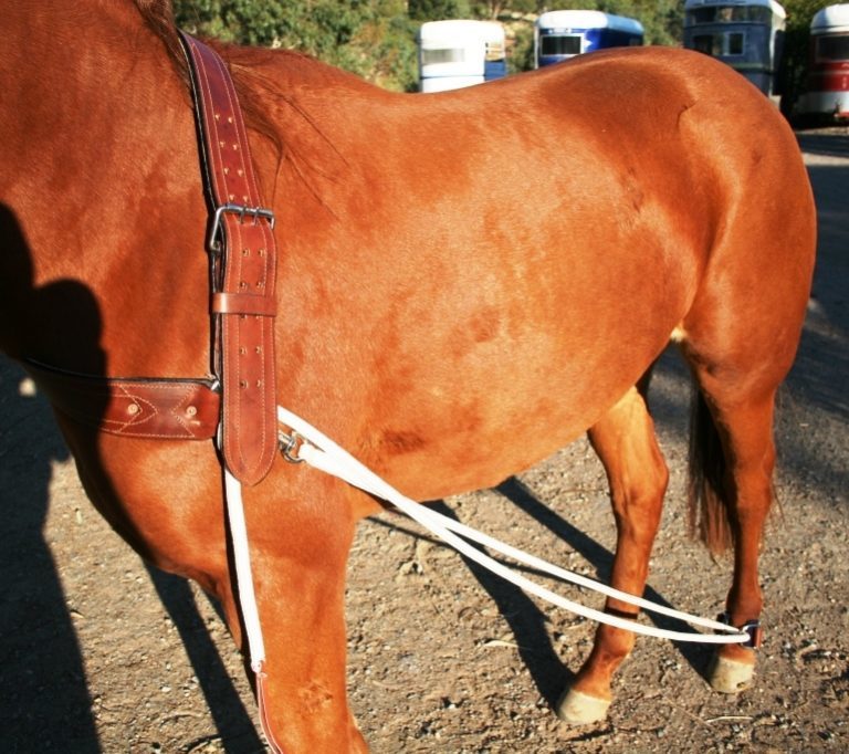Horse Collar Roping Neck Strap Horseproblems Australia