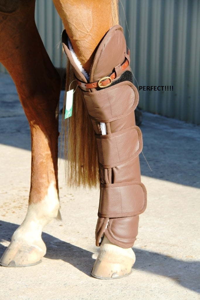 Tying up the Horse complete package Horseproblems Australia