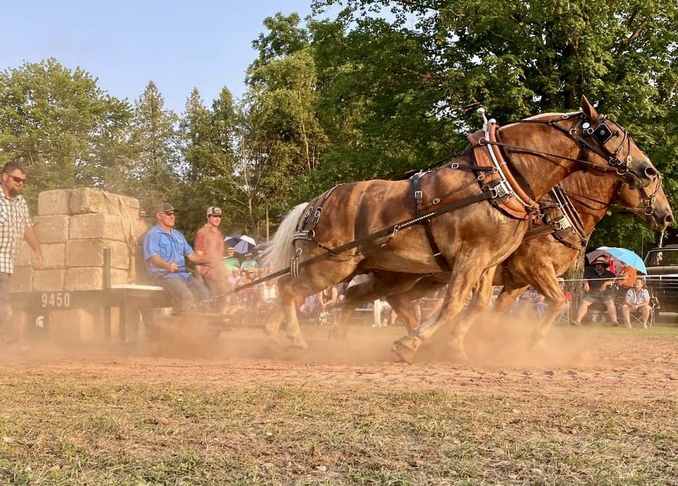 Horse Pull Results The Largest selection of Horsepulling results on the