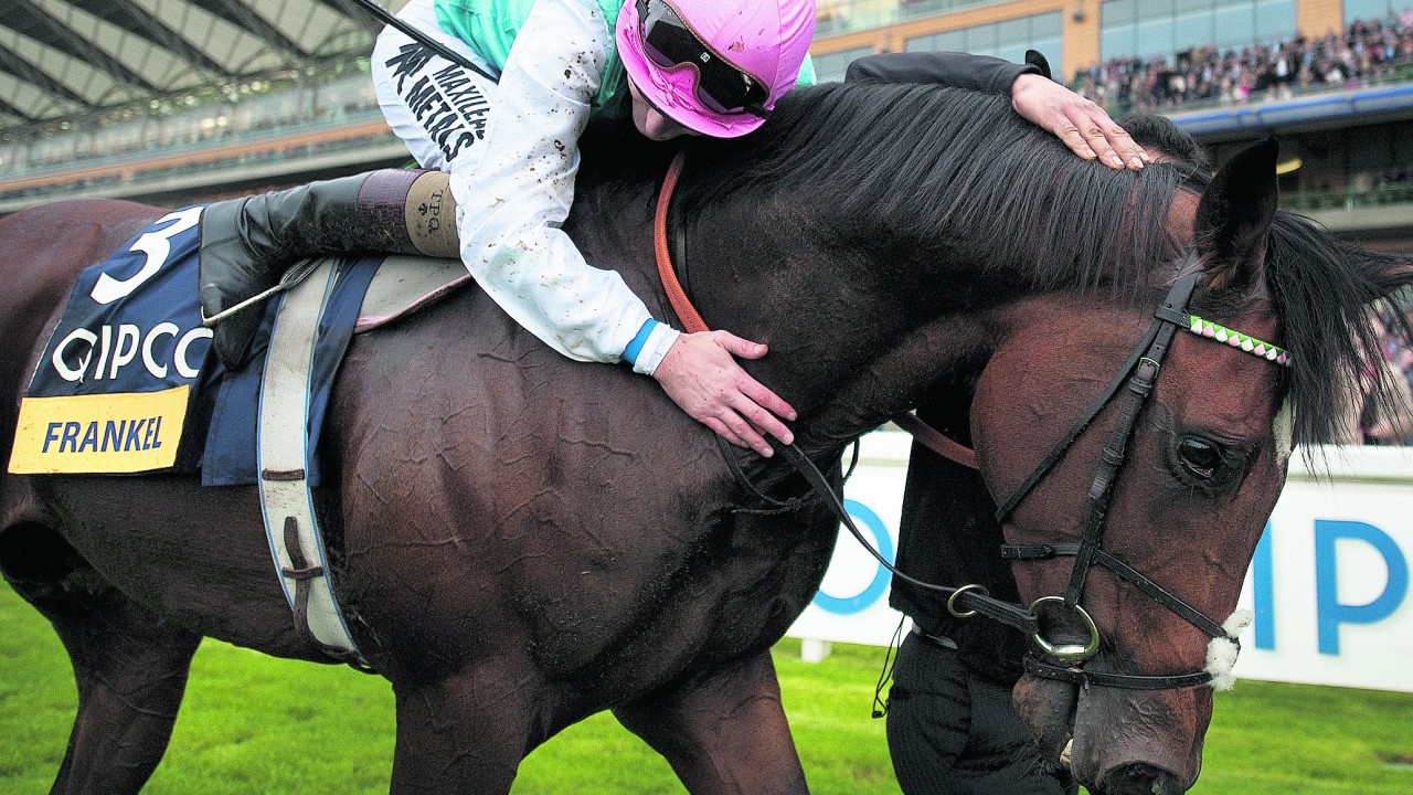 The biggest shock upset wins in the Horse Racing world Horse Racing