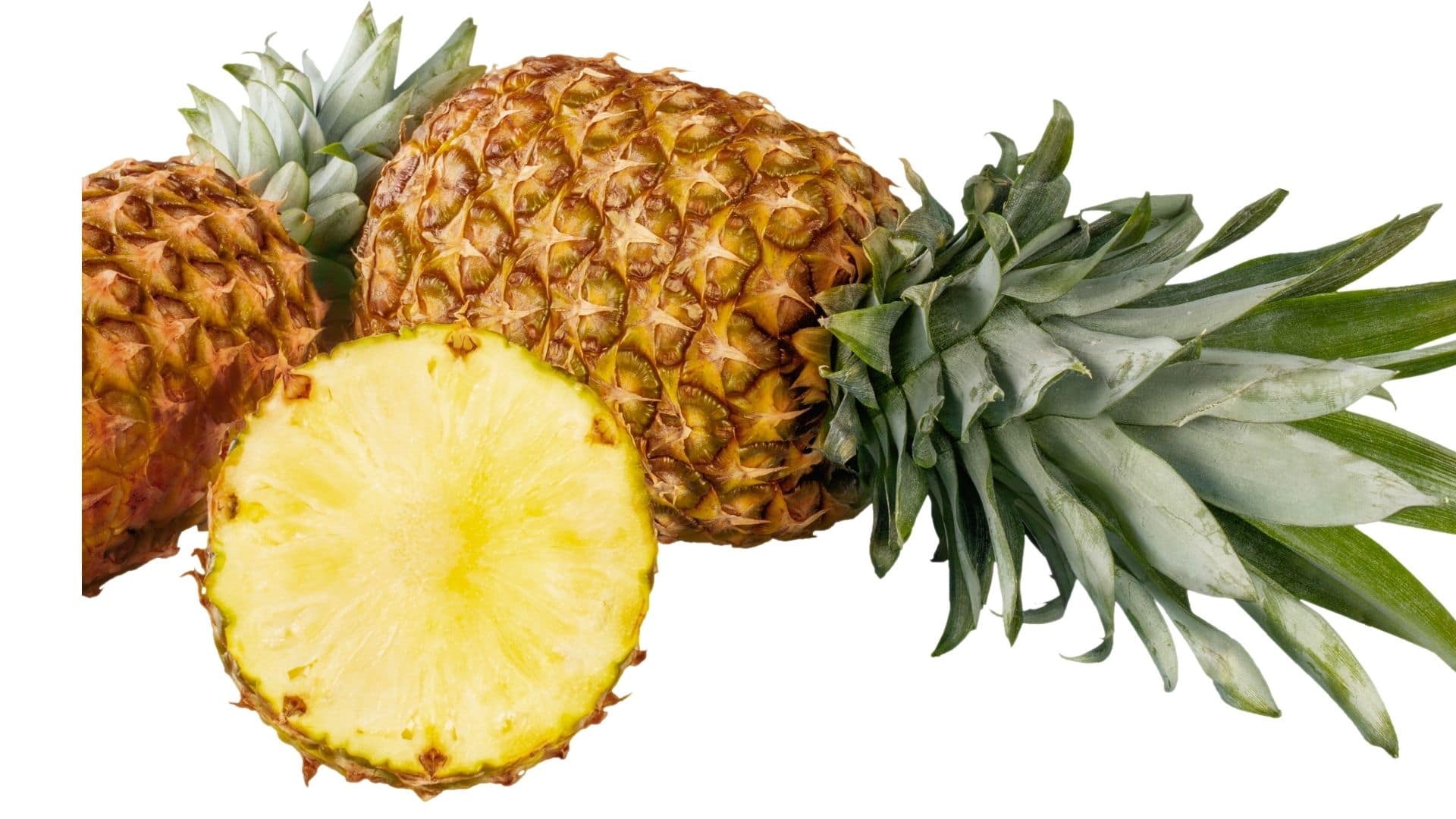 Can Horses Eat Watermelon Rinds? What Are The Benefits?