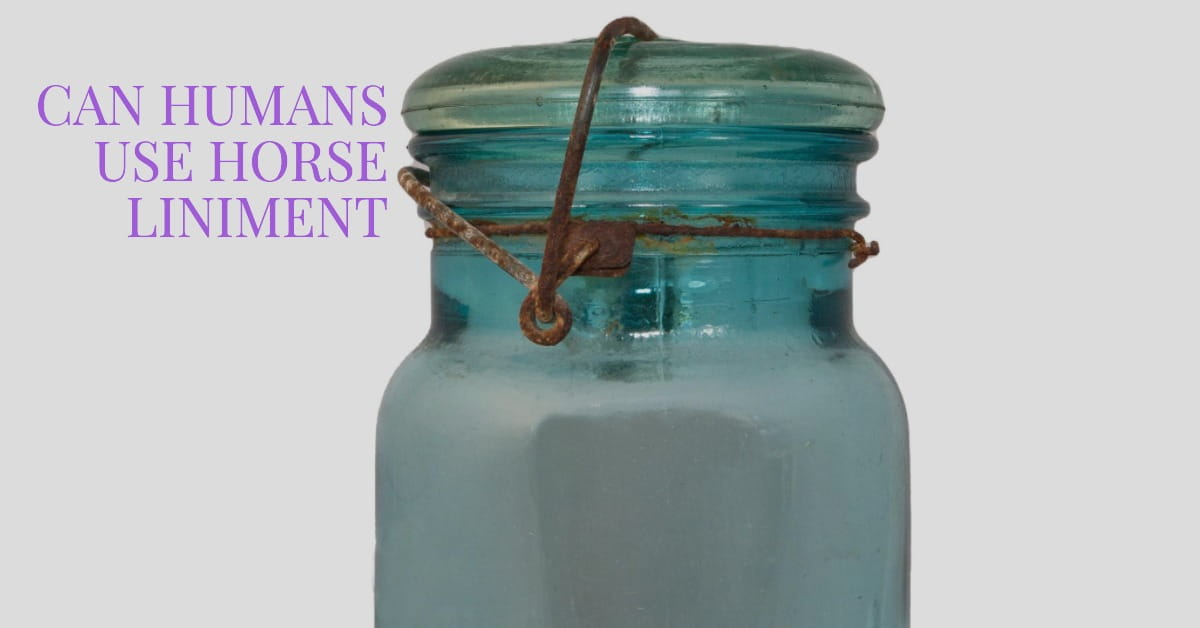 Can Humans Use Horse Liniment HORSERAY