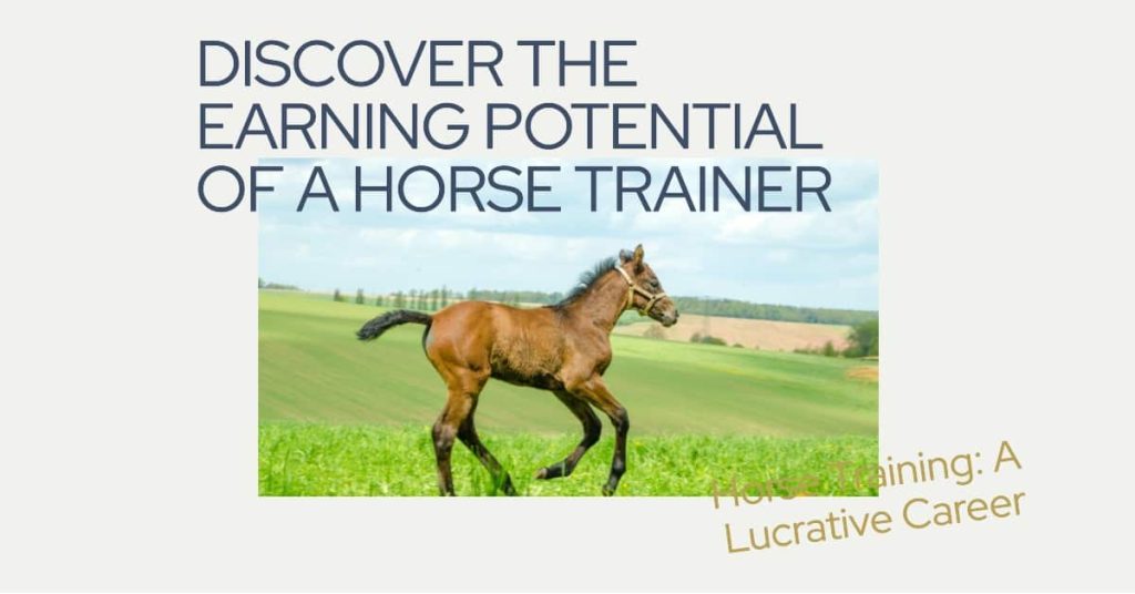 How Much Does a Horse Trainer Make HORSERAY
