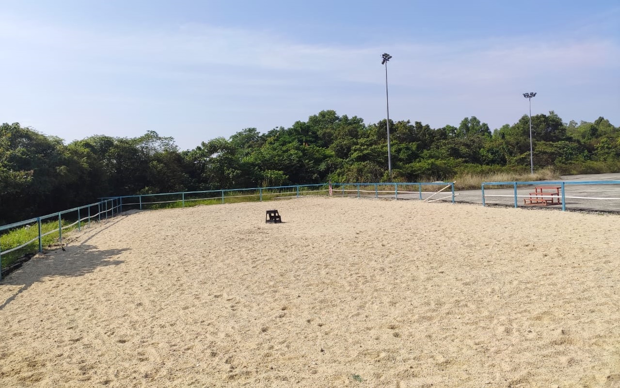 3S Equestrian Centre Cyberjaya Horse Riding Horse Riding Malaysia