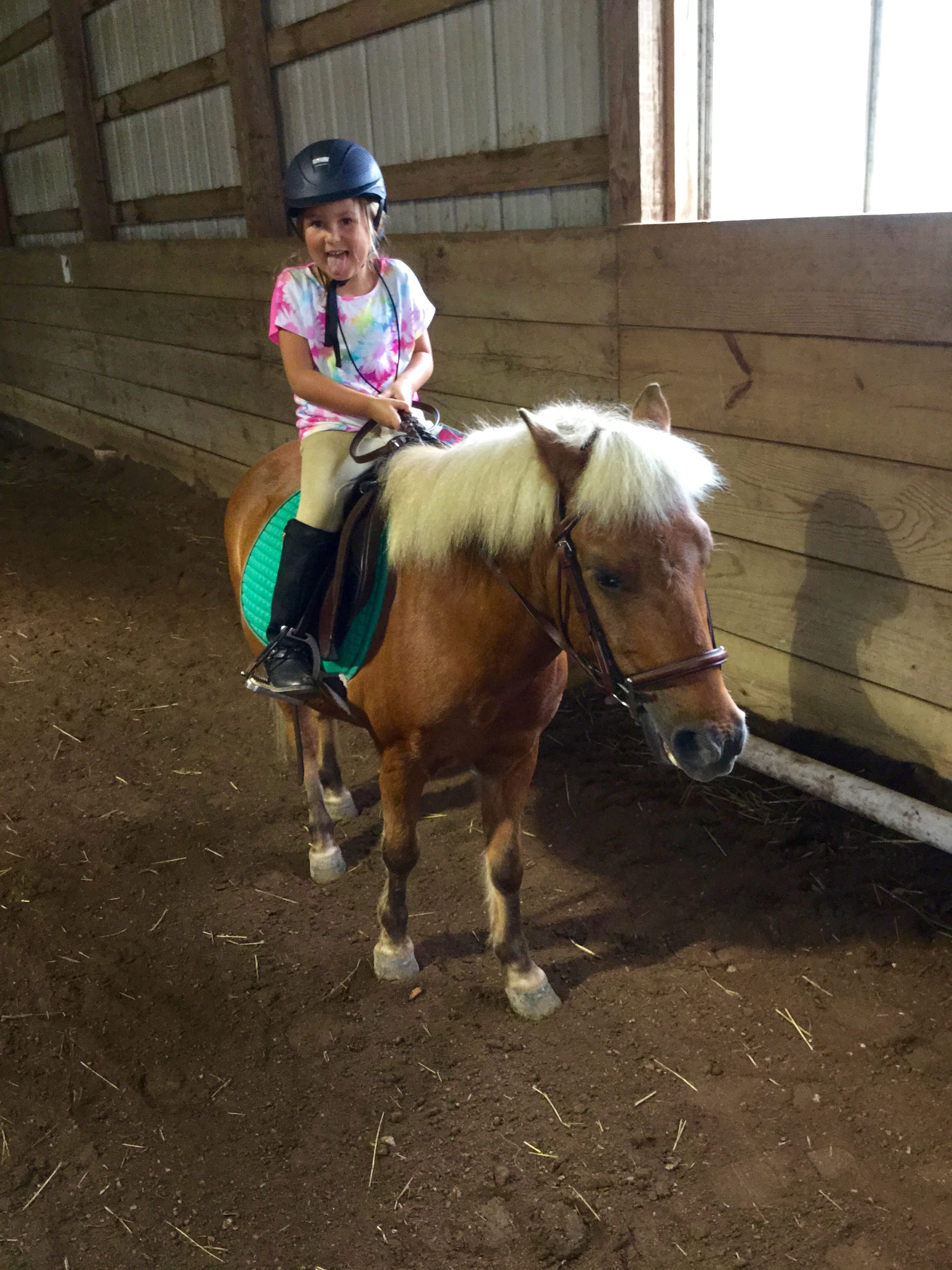 Noonan Farms fullsizeoutput_29d