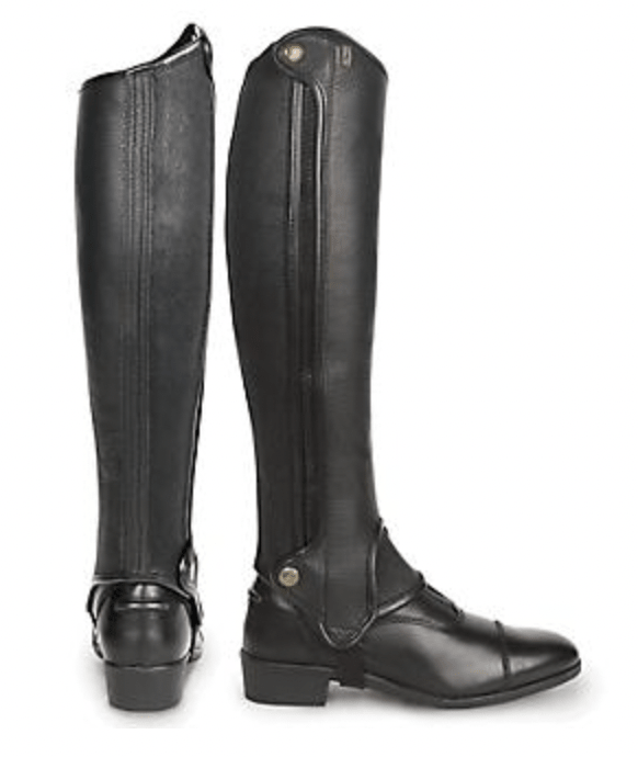 15 Best English Half Chaps for Getting a Grip Horse Rookie