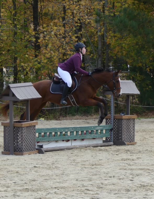 Packer extraordinaire Horses 4 Your Consideration