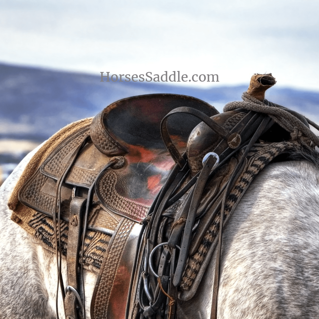 Horse Saddle Shop Shop till you drop