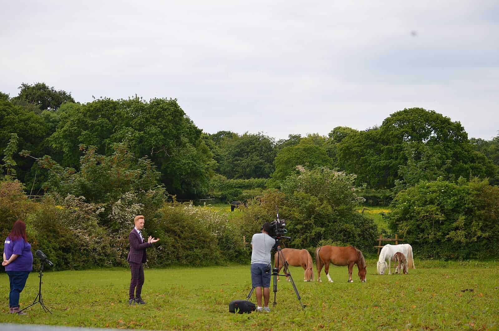 Gallery Horse Sense Wirral