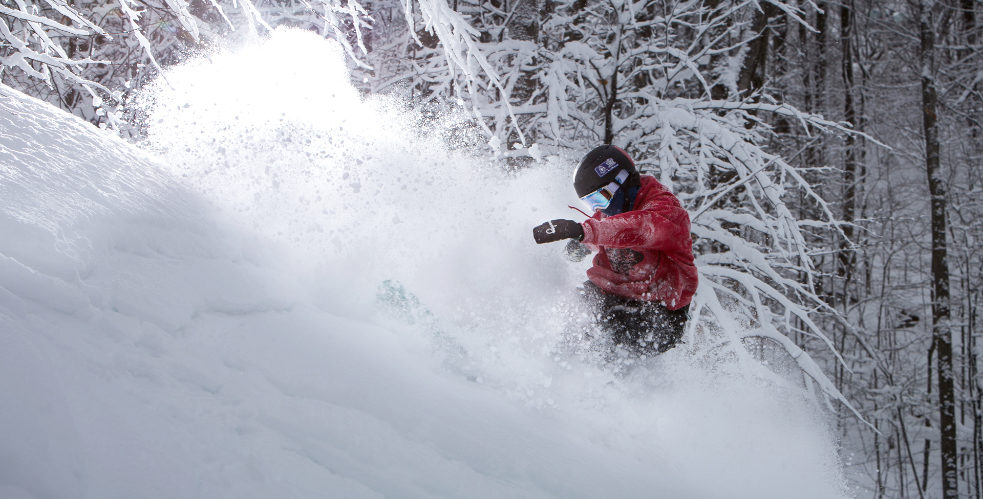 Horseshoe Resort 4 Seasons of Adventure in Barrie, Ontario