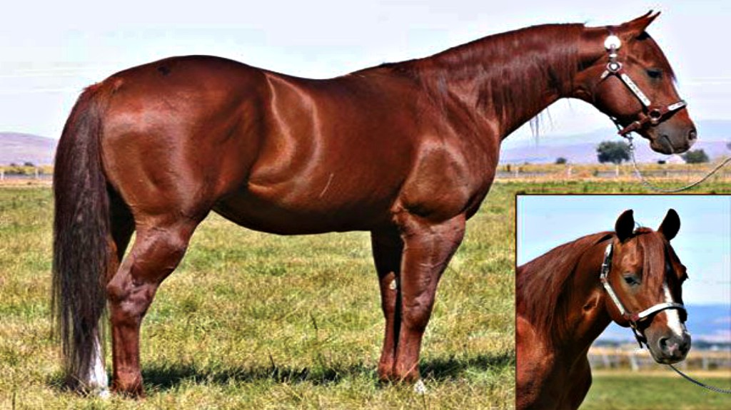 tell aboutの意味・使い方・読み方 Weblio英和辞書