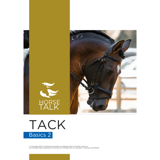 Tack Basics 2 HorsetalkSA