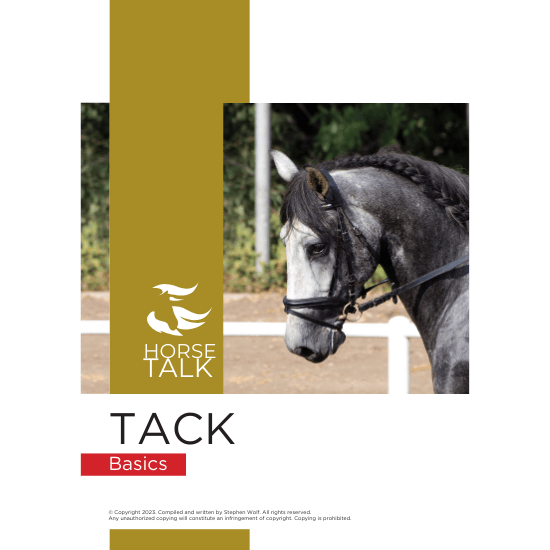 Tack Basics HorsetalkSA
