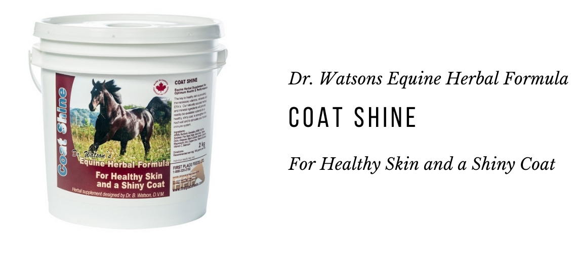 Soybean Meal for Horses