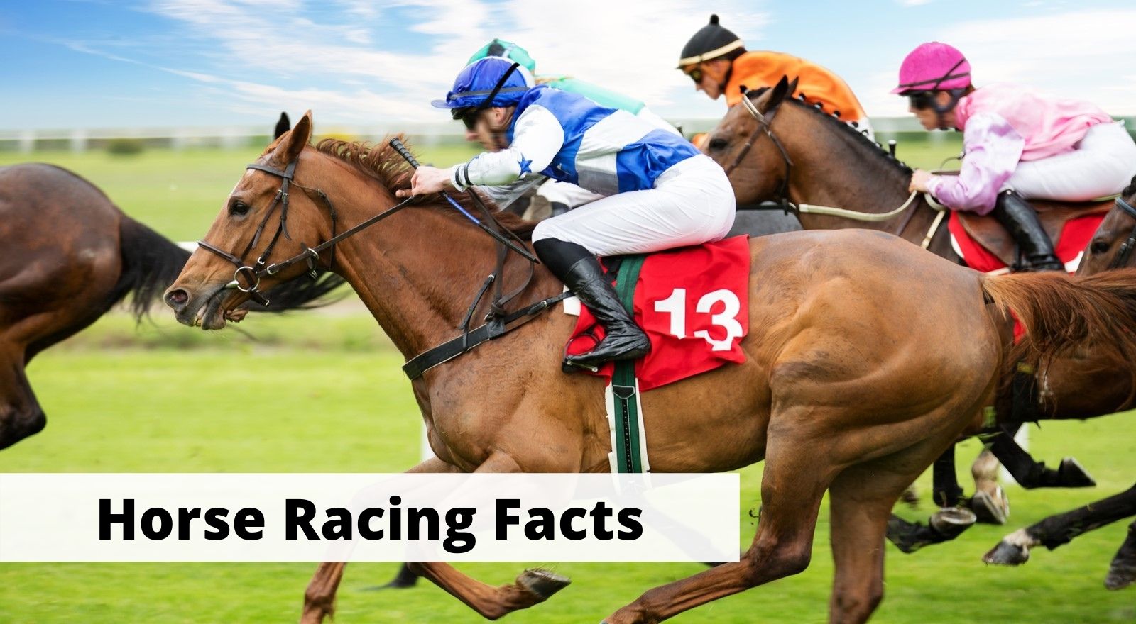 15 Fascinating Horse Racing Facts You Probably Didn't Know