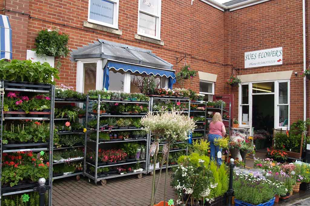 Plant Propagation Courses Nursery Production Garden Centre
