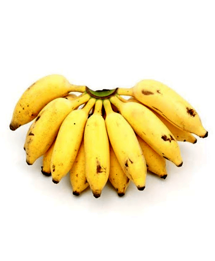 Banglakola 12 pcs Hortex