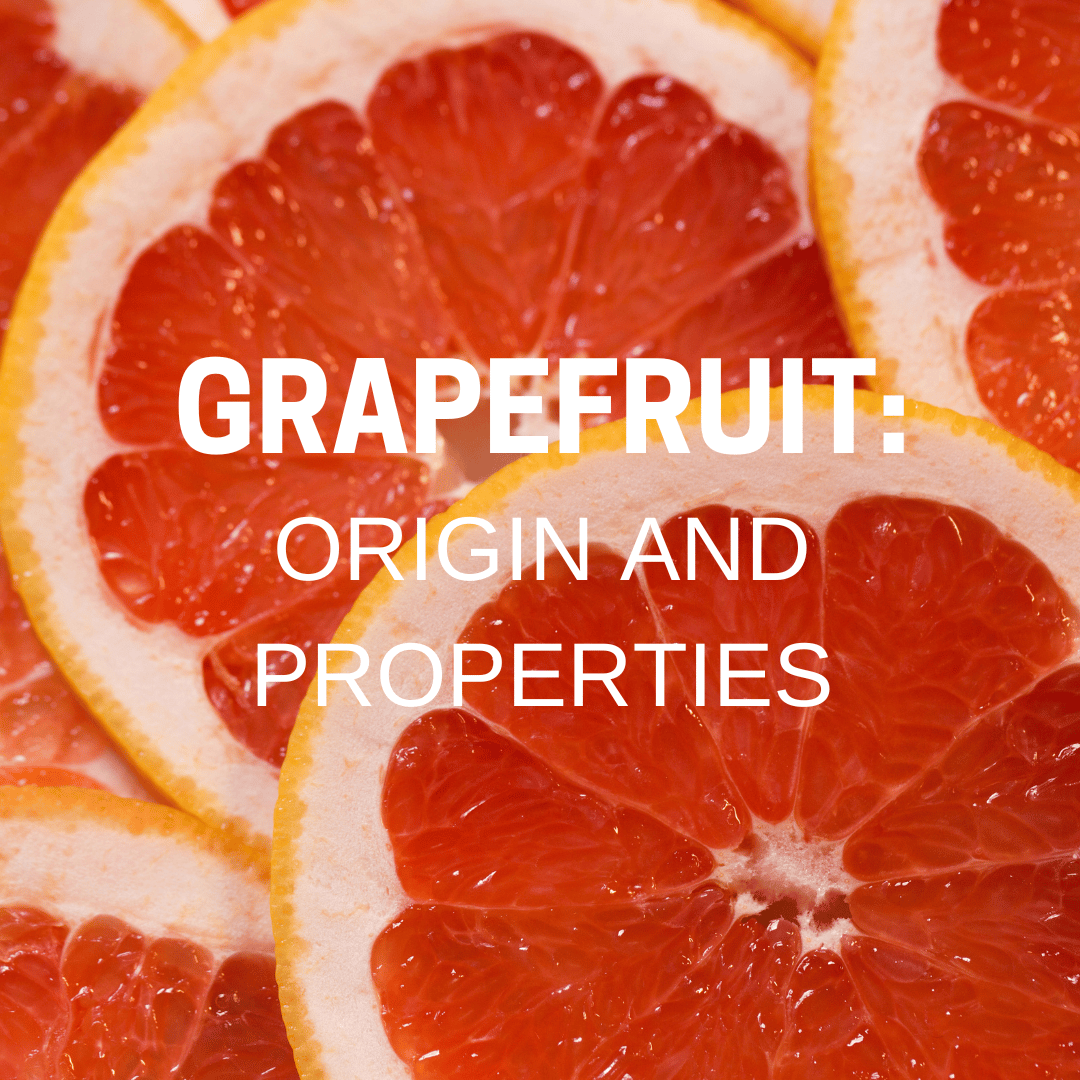 Grapefruit Origin and properties Hortiberia