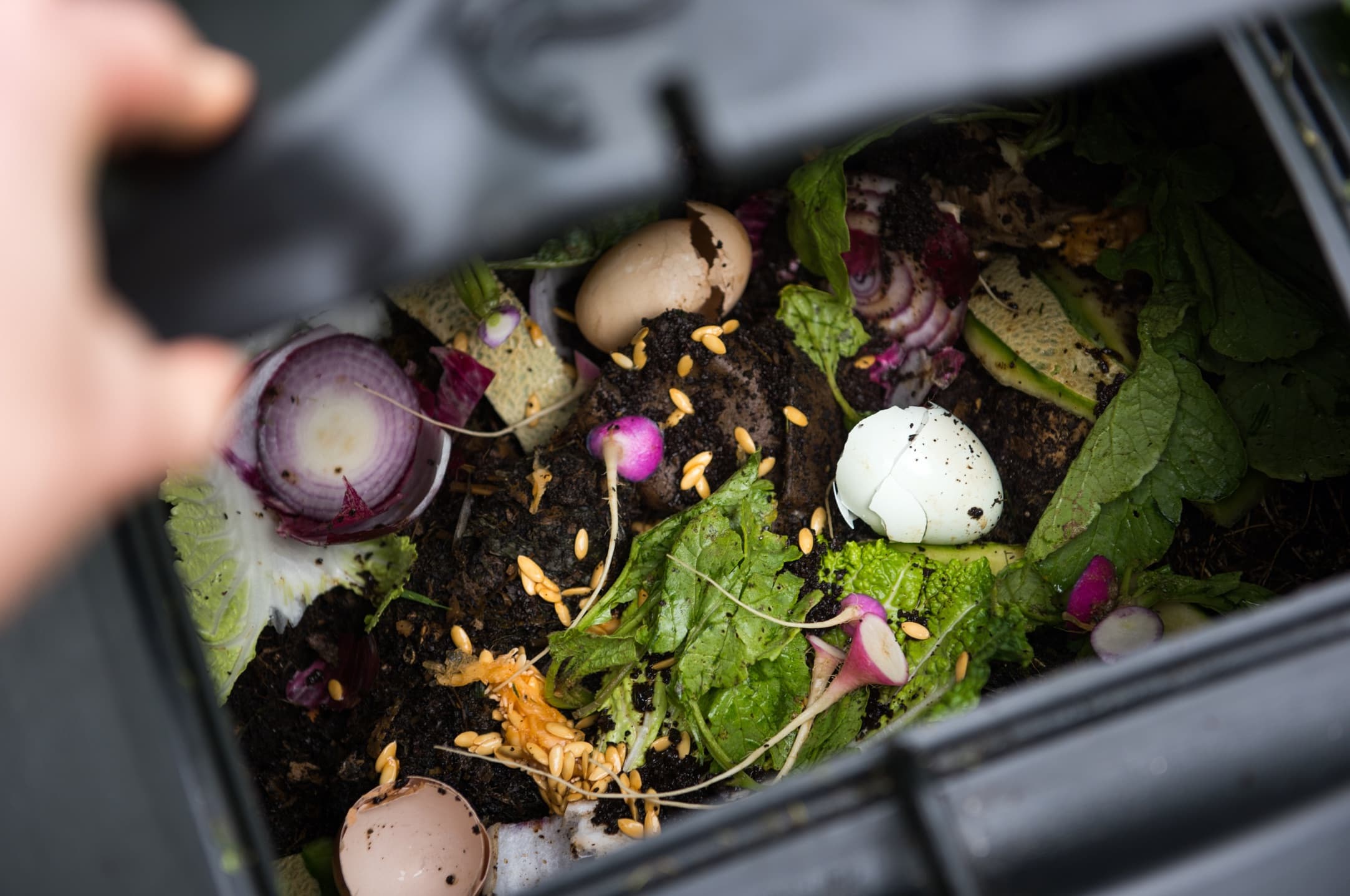 How To Start & Use A Home Compost Bin Horticulture.co.uk