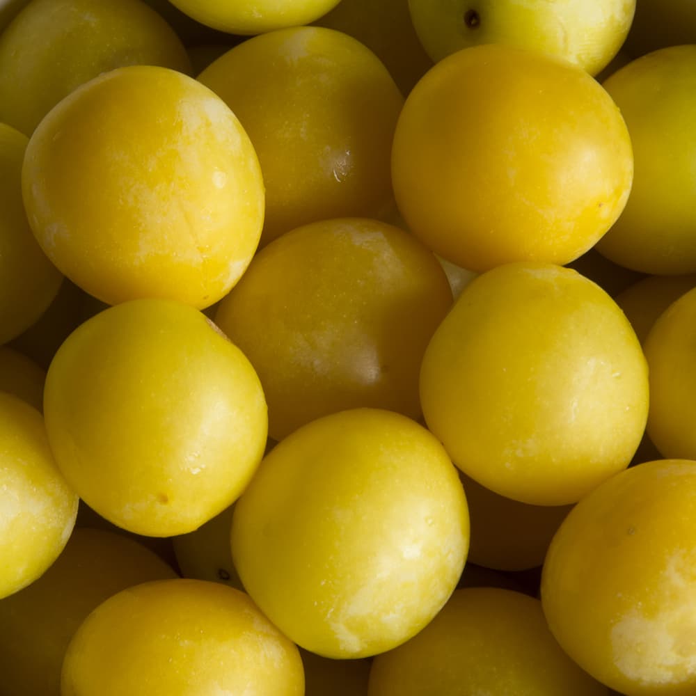 yellow Mirabelles