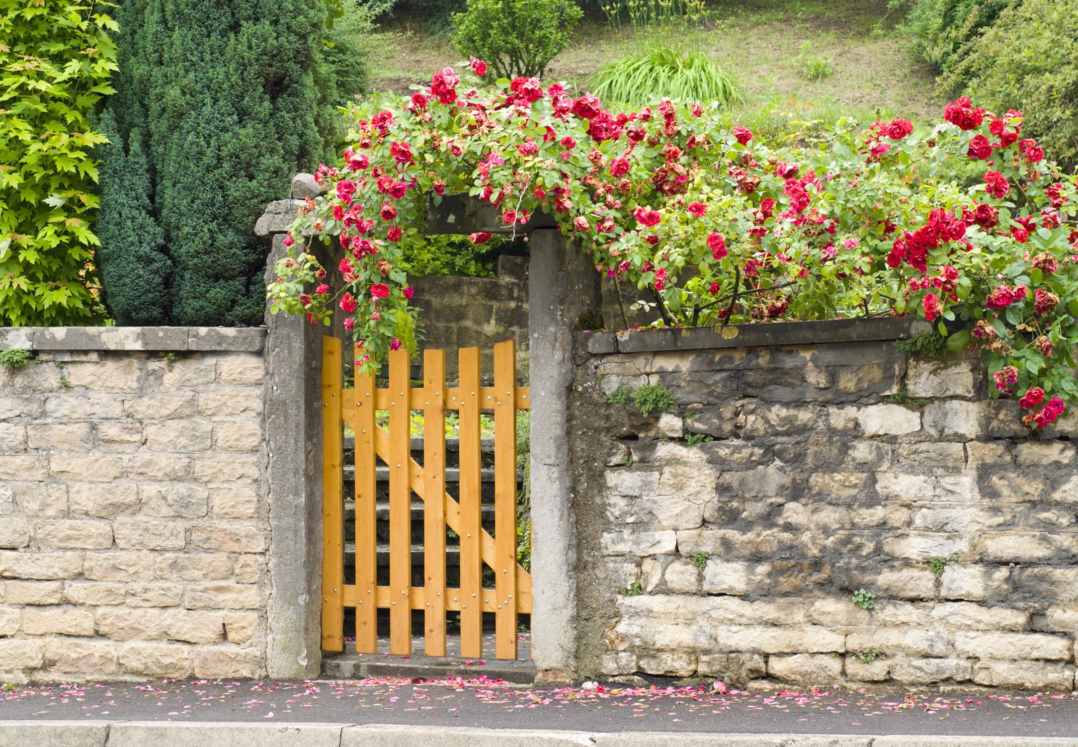 7 Best Garden Gates For Yard Entrances Horticulture.co.uk