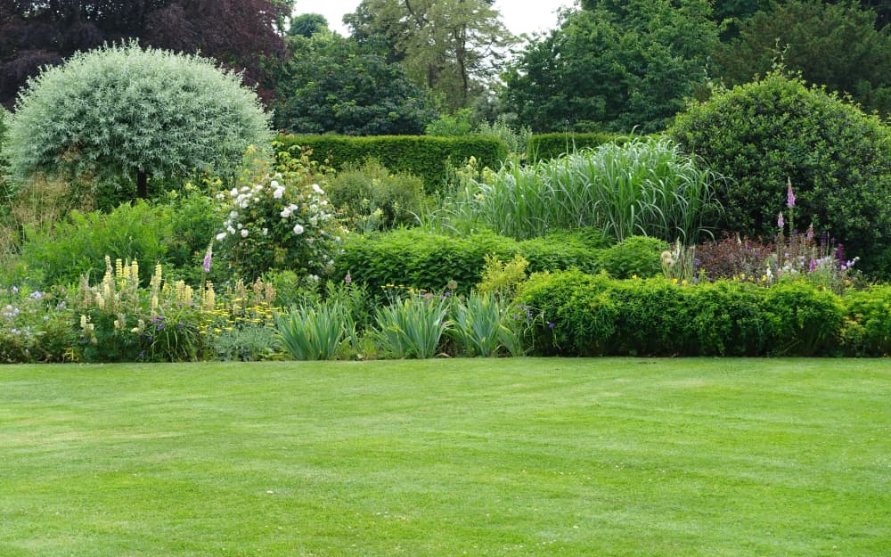 a well kept garden with mowed lawn and various wildflowers, trees and hedges in the background