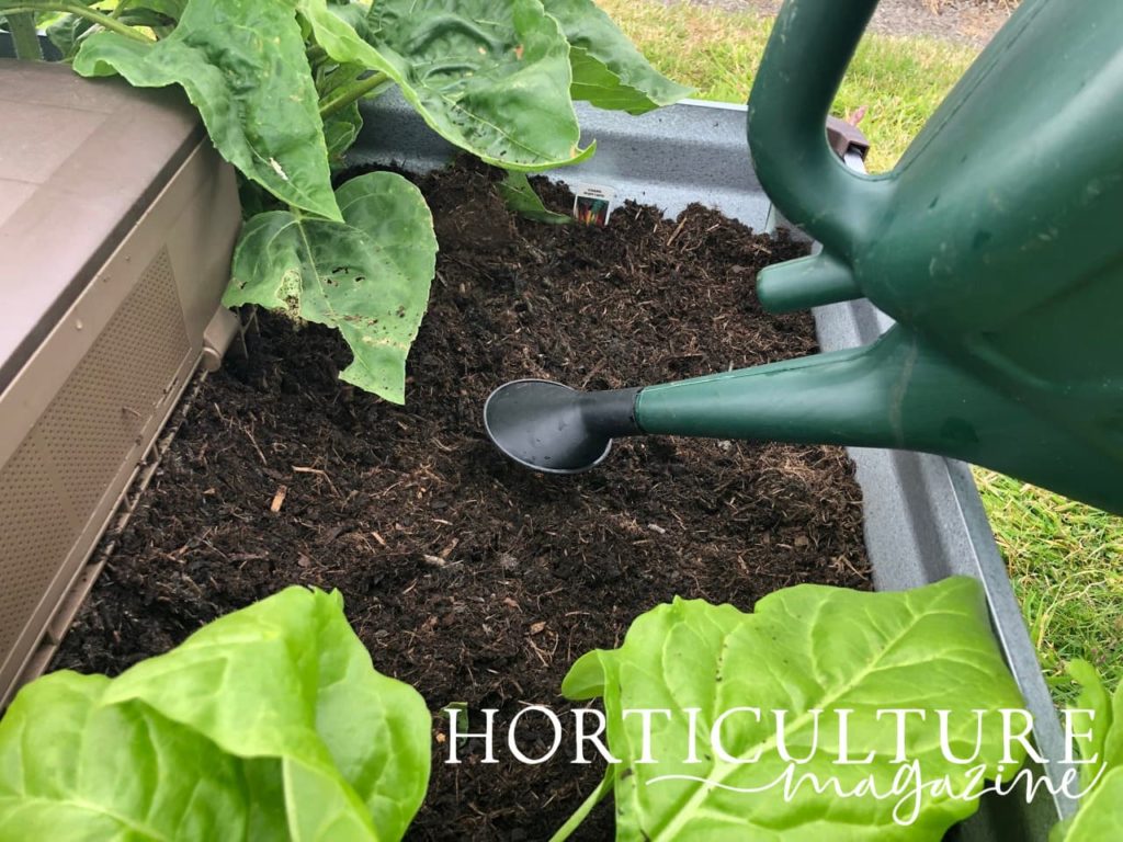a watering can being used to water seeds