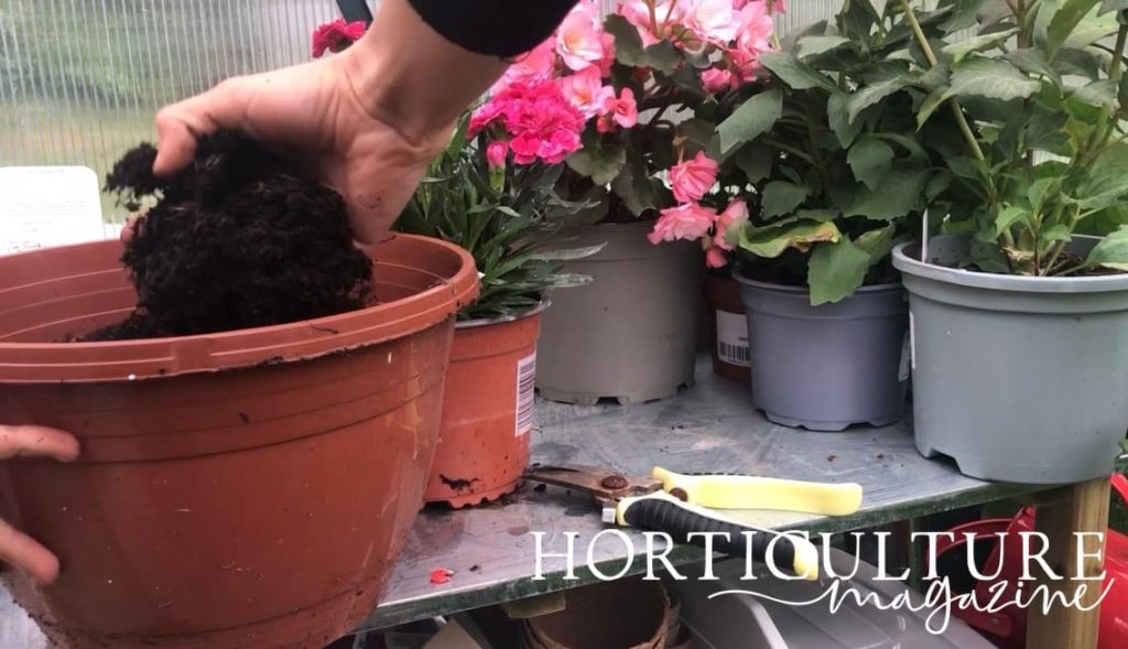 hand moving compost around a plastic container