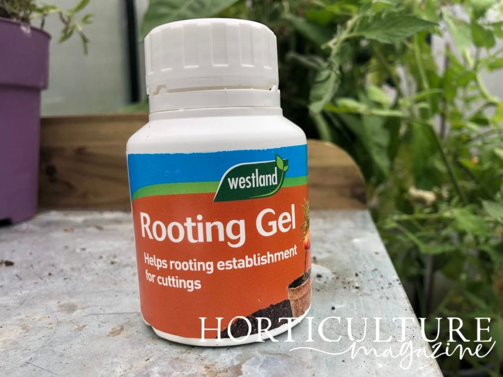 rooting gel shown on a potting table